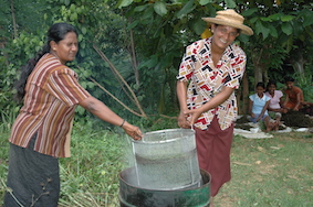 Boil up briefly